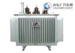S11-M10KV(j)׃