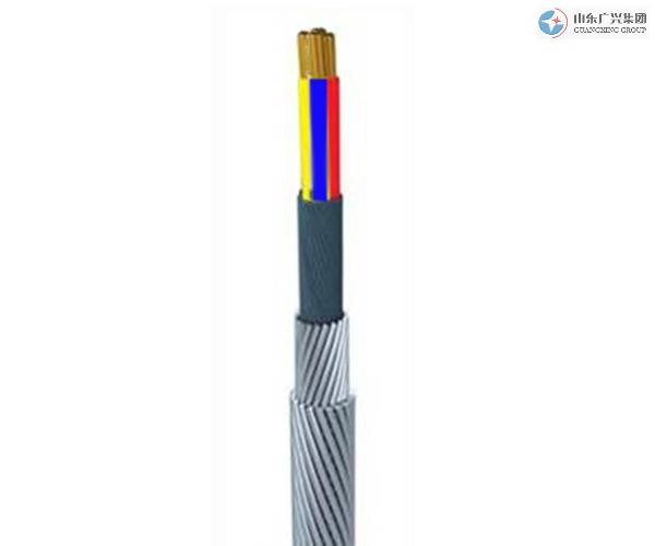 W4B-8.0 4-core 8.0mm PP insulationouter shielding